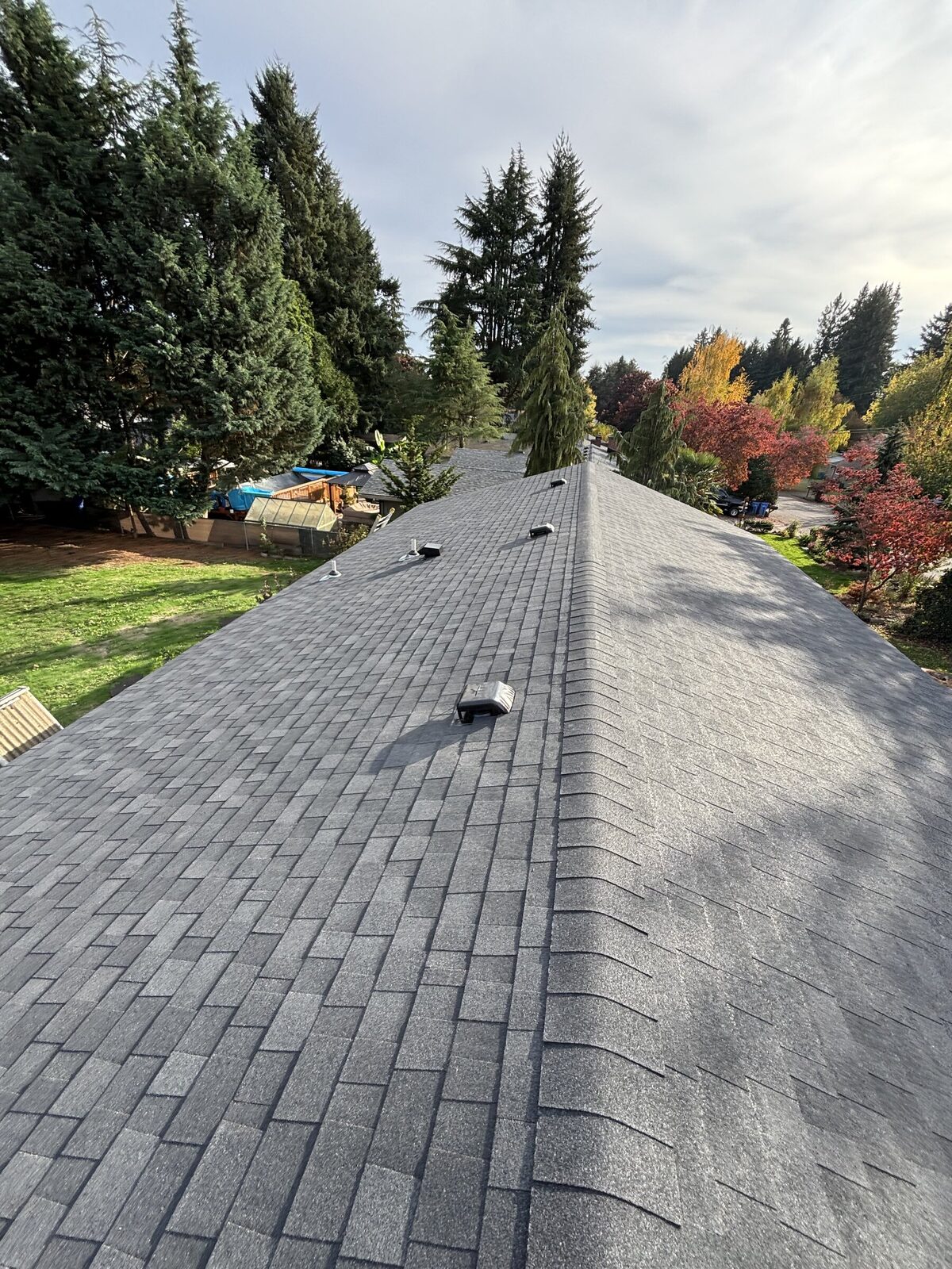 New ridge cap shingles on finished roof